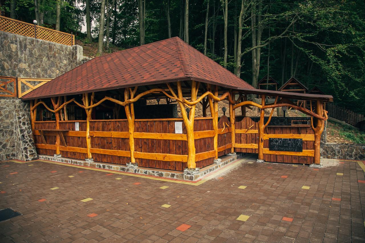 Sadyba Sribne Dzherelo Hotel Ilnytsya Екстериор снимка