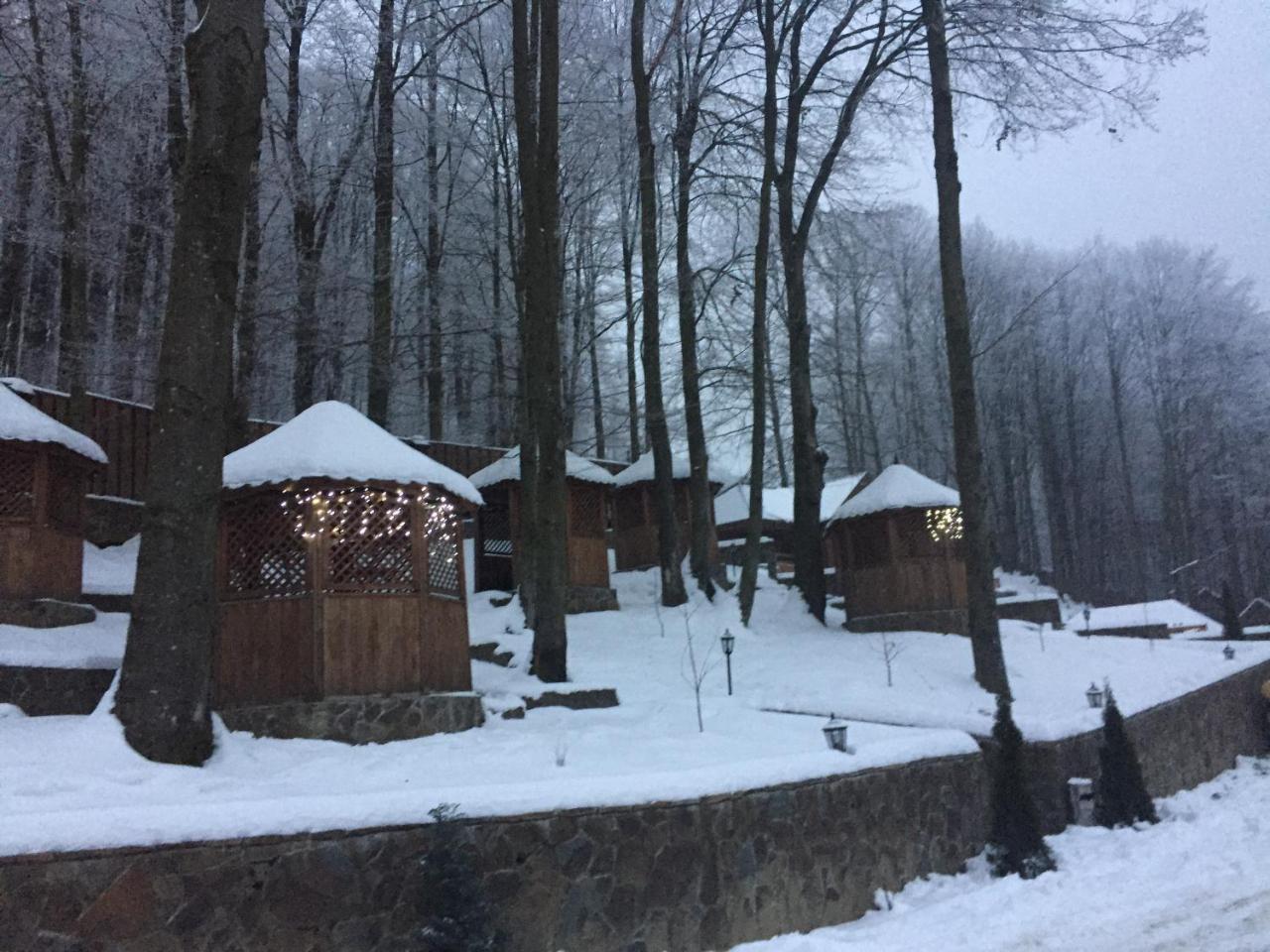 Sadyba Sribne Dzherelo Hotel Ilnytsya Екстериор снимка